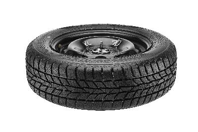 Hankook Winter i*cept RS (W442)